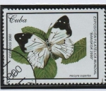 Stamps Cuba -  Mariposas: Helcyra superba