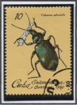 Stamps Cuba -  Insectos: Calasoma