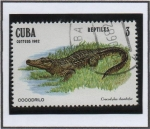 Sellos de America - Cuba -  Reptiles: Cocodrilo