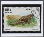 Stamps Cuba -  Reptiles: Iguana