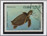 Stamps Cuba -  Tortugas: Lepidochelys Kempi