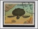 Sellos de America - Cuba -  Tortugas: Chelonia mydas