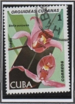 Stamps Cuba -  Orquideas cubanas: Bletia purpurea