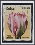 Sellos de America - Cuba -  Tulipanes: Greenlnd