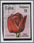 Stamps Cuba -  Tulipanes: Jewel d' Spring