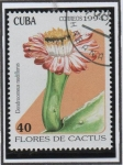 Sellos de America - Cuba -  Flores d' cactus: Dendrocerus