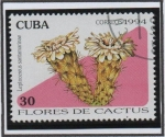 Stamps Cuba -  Flores d' cactus: Leptocereus