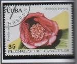 Stamps Cuba -  Flores d' cactus: Peraskia