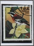 Stamps Cuba -  Flora y Fauna: Magnolia