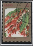 Stamps Cuba -  Flores d' Caribe: Triplaris Surinamensis