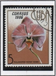 Stamps Cuba -  Orquídeas: Phalaenopsis marget moses