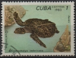 Sellos de America - Cuba -  Tortugas: Eretmochelys imbricata