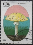 Sellos de America - Cuba -  Setas Venenosas: Amanita citrina