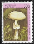 Sellos de Africa - Guinea -  Setas - Destroying Angel (Amanita virosa)