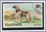 Sellos de Asia - Filipinas -  Perros: Sabueso Afgano