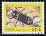 Sellos de Africa - Guinea -  Yellow Mealworm Beetle (Tenebrio molitor)