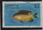 Sellos de America - Granada -  Peces: Beau Gregori