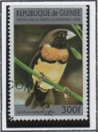 Stamps Guinea -  Aves: Lonchura Castaneothorax