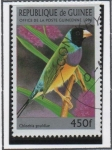 Stamps Guinea -  Aves: Amadina Erythrocephala