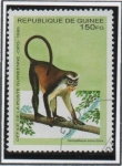 Stamps Guinea -  Animales Africanos: Mono Cercopithecus