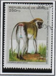 Stamps Guinea -  Animales Africanos:  Cercopithecus aethiops