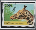 Stamps Guinea -  Animales Salvajes: Jirafa