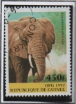 Sellos de Africa - Guinea -  Animales Salvajes: Elefante