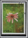 Stamps Guinea -  Flores: Purpurea Rudbeckia