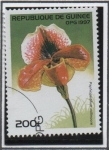 Stamps Guinea -  Orquídeas: Millmoore Paohiopedilo