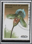 Stamps Guinea -  Orquídeas: Ro papa Paphiopedilum