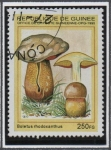 Sellos de Africa - Guinea -  Hongos: Boletus rhodoxanthus