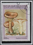 Stamps Guinea -  Hongos: Xerocomus rubellus