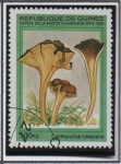 Stamps Guinea -  Hongos: Cantharellus lutescens