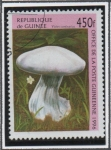 Stamps Guinea -  Hongos: Cortinarius violaceus