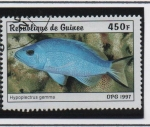 Stamps Guinea -  Peces: Hypoplectrus gemma