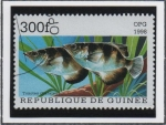 Stamps Guinea -  Peces: Toxotes chatareus