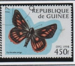 Sellos de Africa - Guinea -  Mariposas: Pyrrhocalles antiga