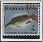 Stamps Guyana -  Pike cichid