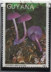 Stamps Guyana -  Hongos: Lacaria bicolor