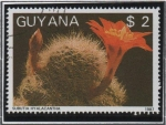 Sellos de America - Guyana -  Flores d' Cactus: Rebutia hyalacantha