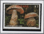 Stamps Guyana -  Hongos: Cortinario de escamas rojas