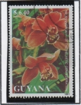 Stamps Guyana -  Orquideas: 	Cymbidium sp.