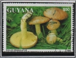 Stamps Guyana -  Boleto granulado