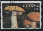 Stamps Guyana -  	Casquillo azul del pie