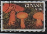 Stamps Guyana -  Cortinarius callisteus