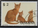 Sellos de America - Guyana -  Gatos: Abisinio