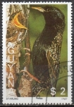 Stamps Guyana -  Estornino