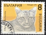 Sellos del Mundo : Europe : Bulgaria : Gato, Domestico Europeo.