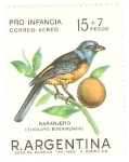 Stamps Argentina -  Naranjero