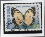 Stamps Djibouti -  Colotis Protomedia